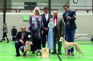 IMG_9363-BIS Whippet RBIS PLI  